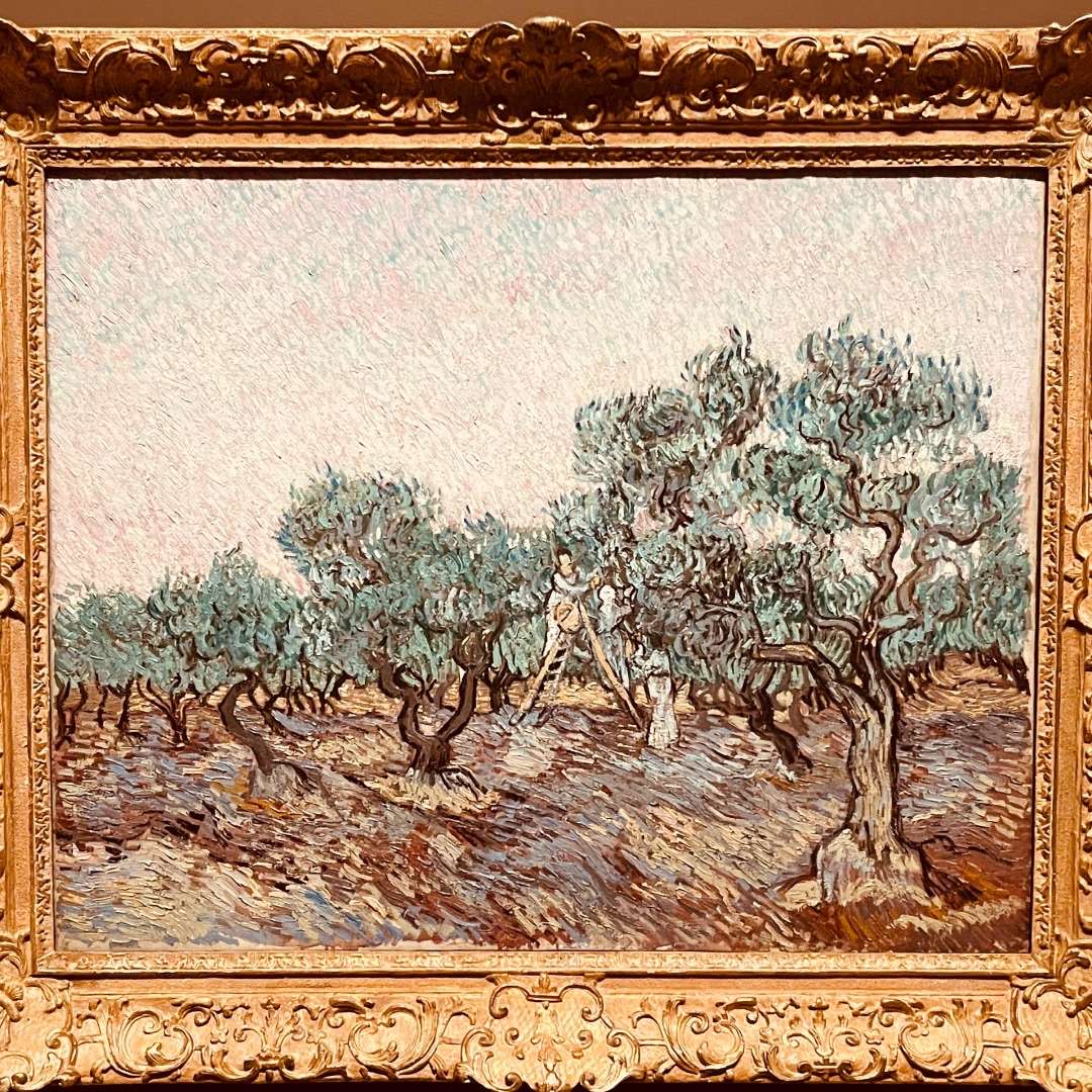 Best Impressionist Museum Van Gogh in Amsterdam